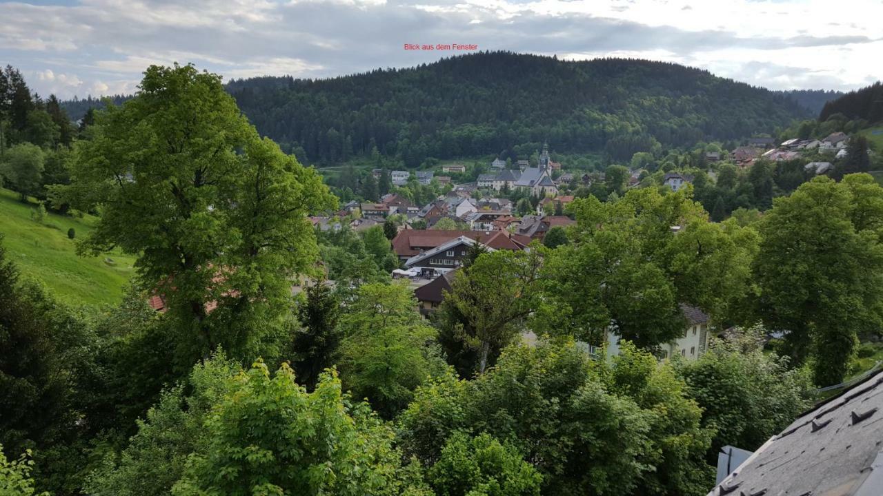 Ferienwohnung Im Schwarzwald Todtmoos Bagian luar foto