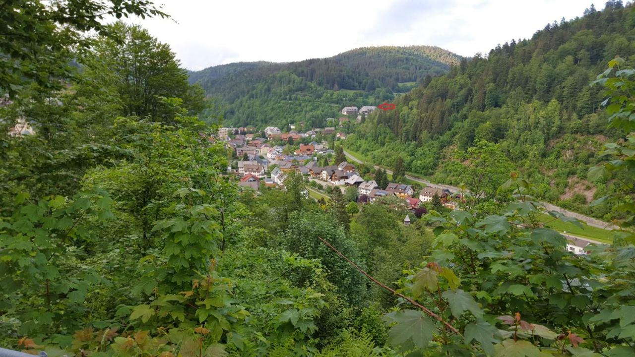 Ferienwohnung Im Schwarzwald Todtmoos Bagian luar foto