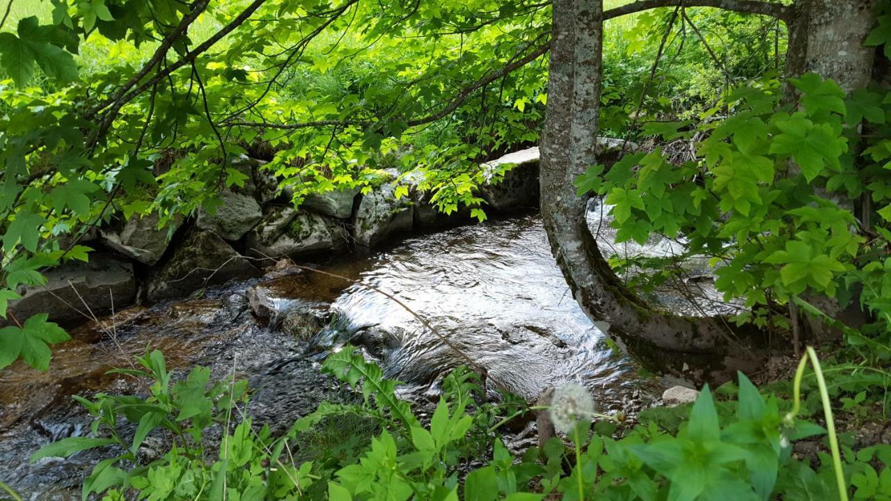 Ferienwohnung Im Schwarzwald Todtmoos Bagian luar foto